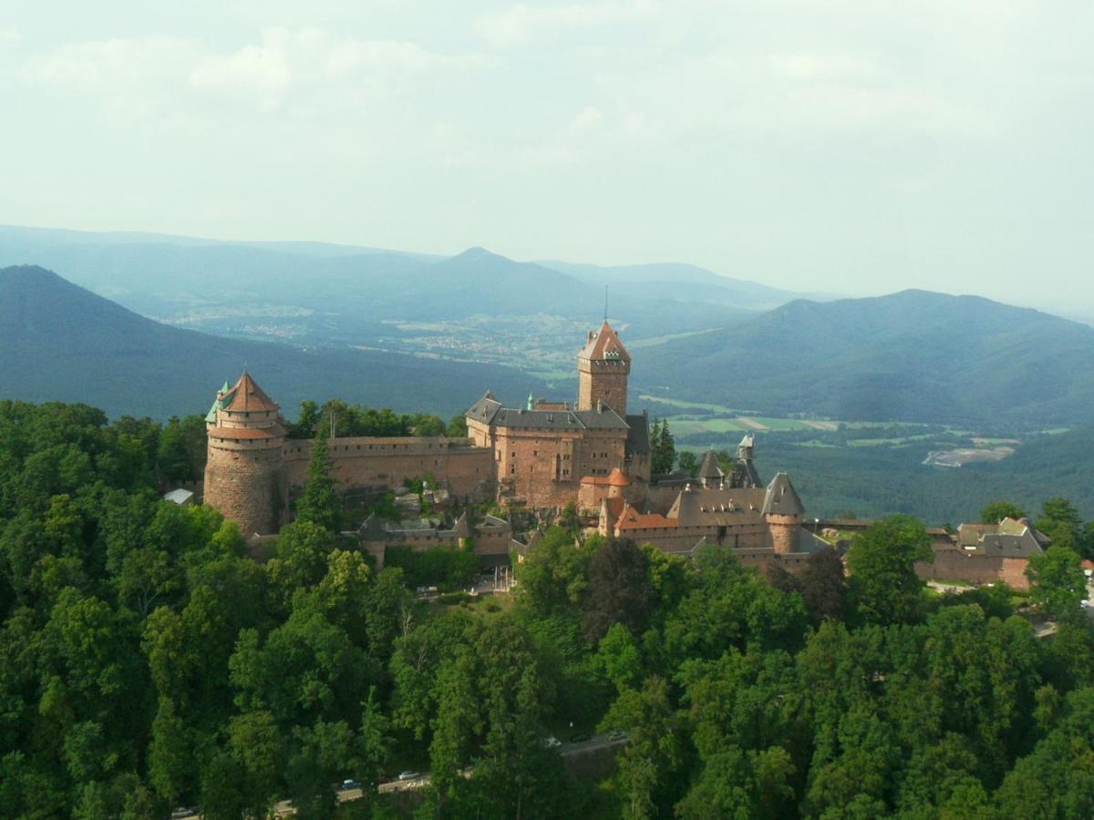 Gite La Maison Bleue Bergheim Exteriör bild