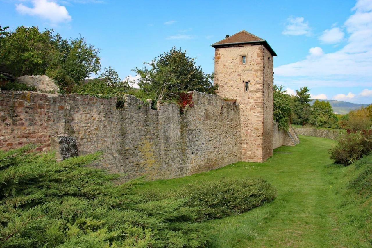 Gite La Maison Bleue Bergheim Exteriör bild